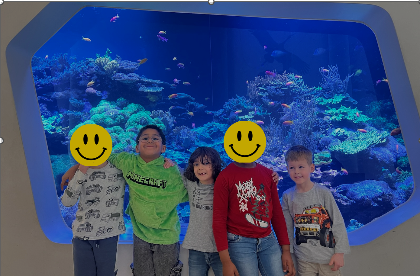 Die Eichhörnchen im Naturkundemuseum